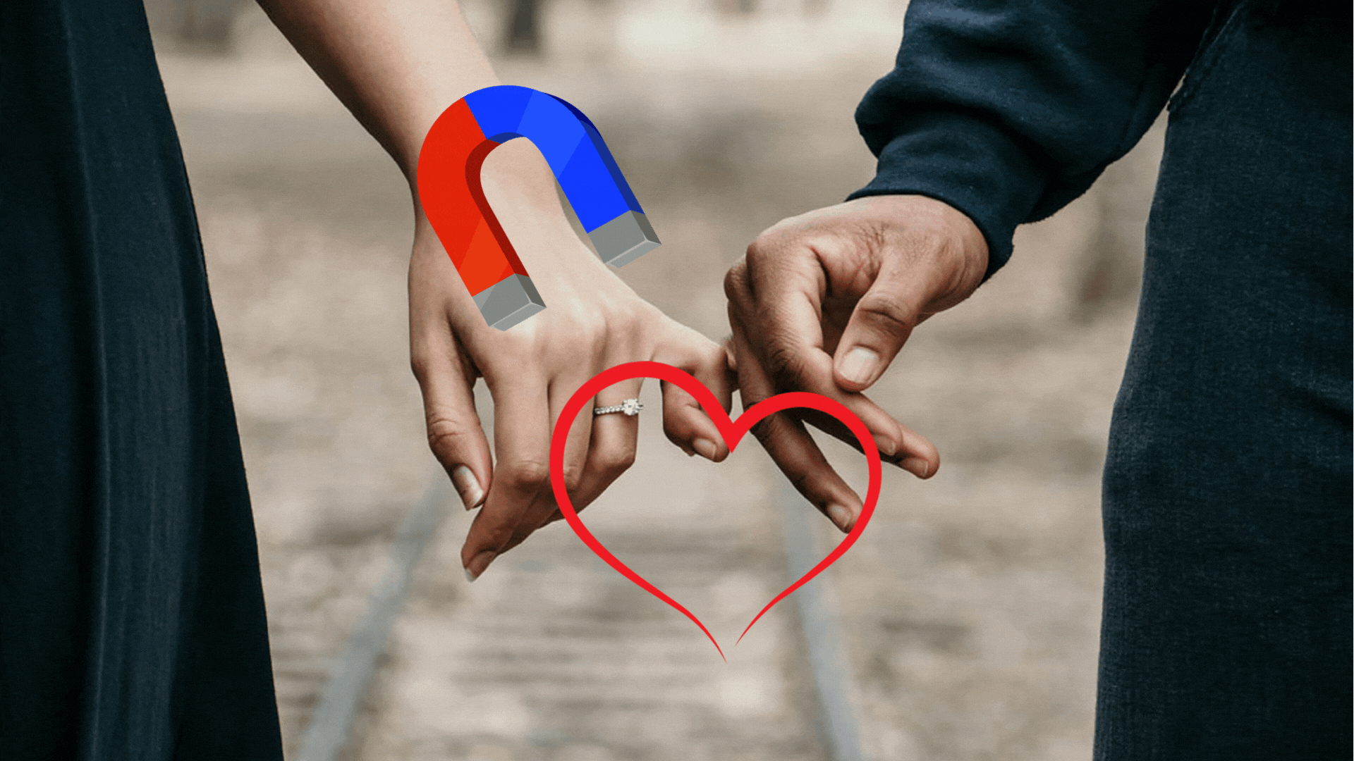 magnetize your love program